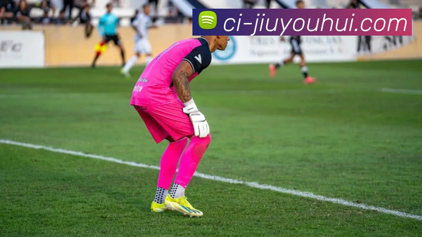 多媒体互动体验